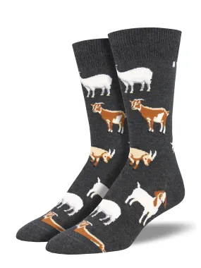 Men's Silly Billy Socks